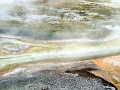 New Life 010 Copyright Villayat Sunkmanitu
